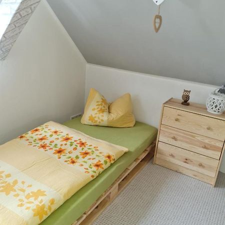 Haus Steindoebra Villa Klingenthal Bagian luar foto