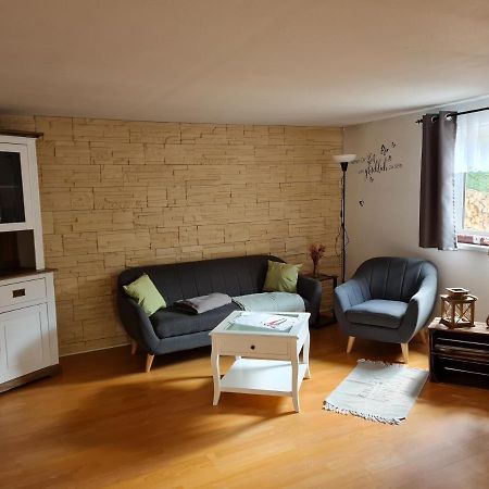 Haus Steindoebra Villa Klingenthal Bagian luar foto