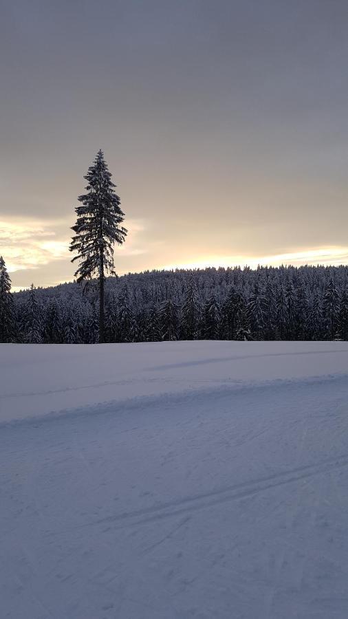 Haus Steindoebra Villa Klingenthal Bagian luar foto