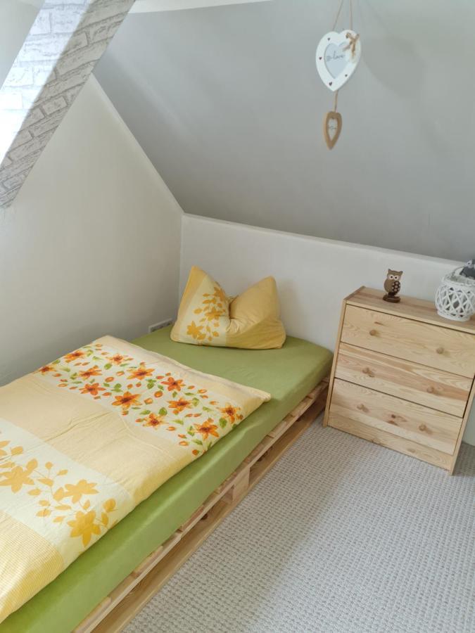 Haus Steindoebra Villa Klingenthal Bagian luar foto