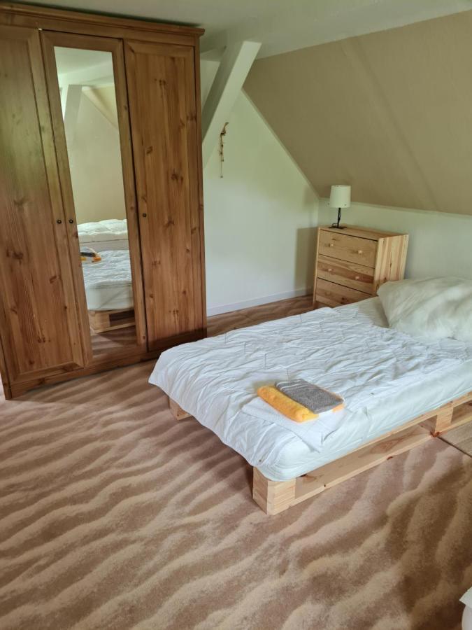 Haus Steindoebra Villa Klingenthal Bagian luar foto