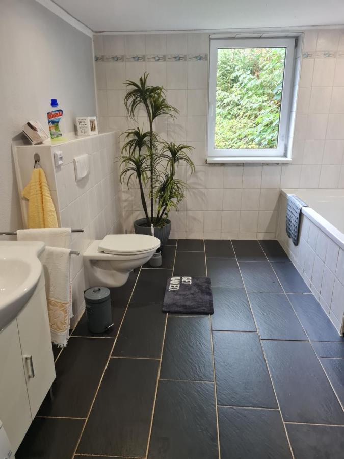 Haus Steindoebra Villa Klingenthal Bagian luar foto